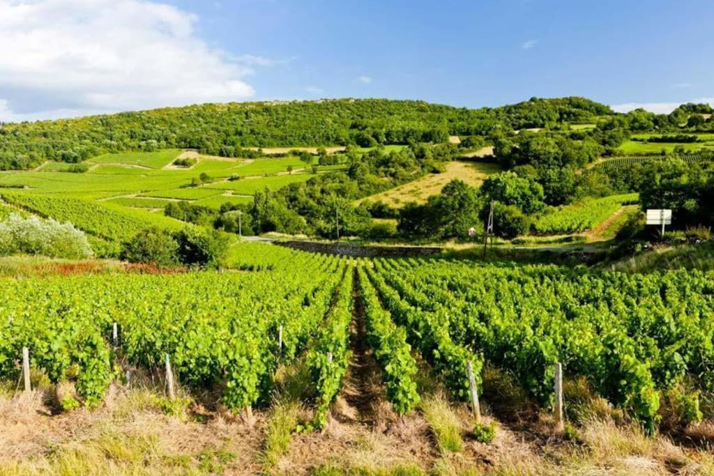 Ferienwohnung Le Chardonnay - Locationtournus Exterior foto